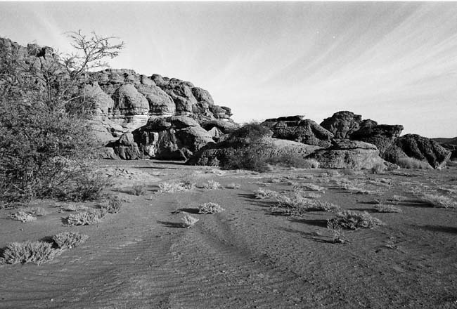 traces dans paysage vari